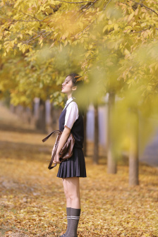 在小小的花蕾深处XL樱花翻译